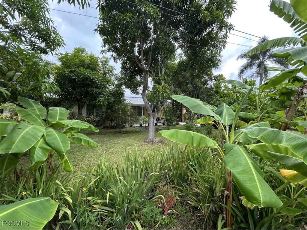 2305 SE 16th Street Cape Coral FL 33990 2025013813 image21