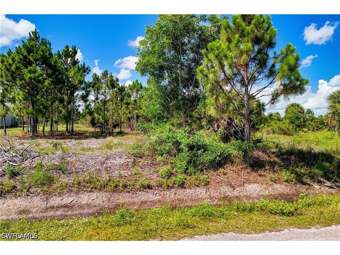 2306 56th Avenue NE Naples FL 34120 226023828 image5