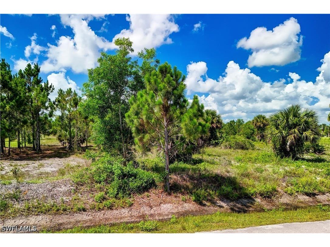 2306 56th Avenue NE Naples FL 34120 226023828 image6