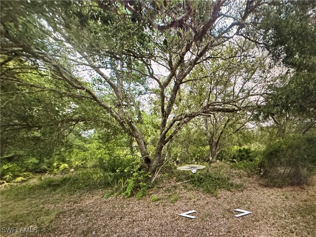 2306 Abbott Avenue Alva FL 33920 225057233 image1