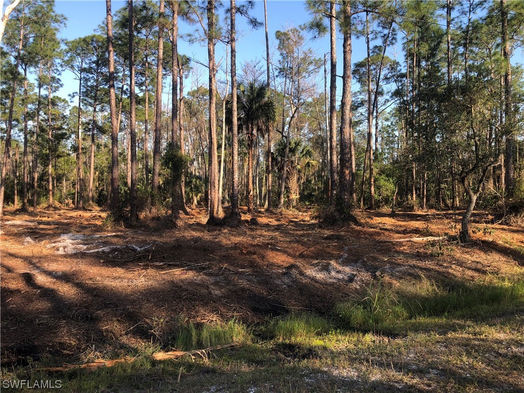 2306 Columbus Avenue Alva FL 33920 223072981 image1