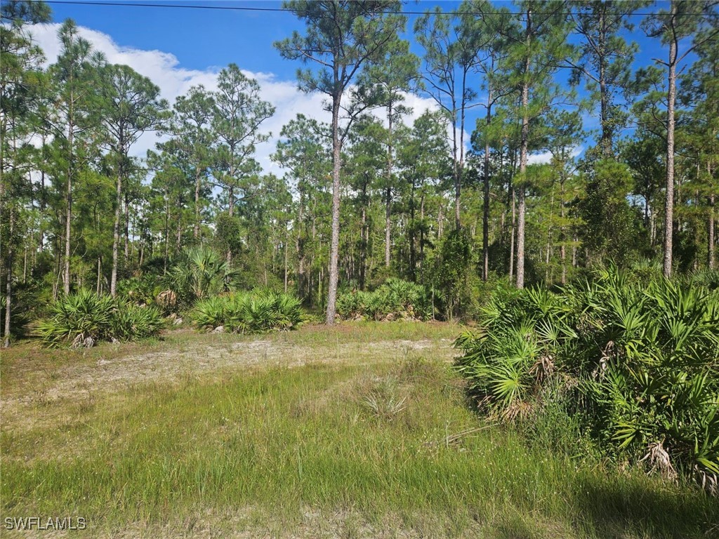 2306 Hamilton Avenue Alva FL 33920 224078019 image1