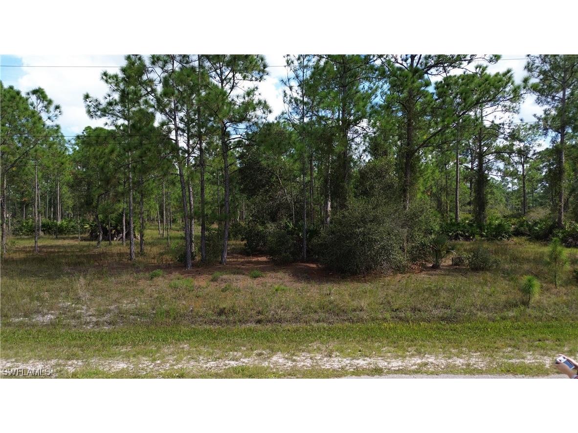2306 Mcarthur Avenue Alva FL 33920 223079861 image1