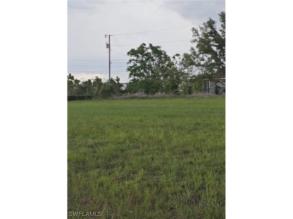 2307 Andalusia Boulevard Cape Coral FL 33909 223053641 image1