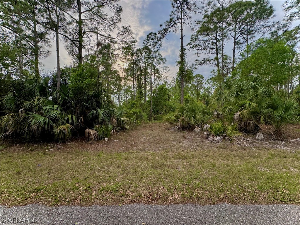 2307 Leroy Avenue Alva FL 33920 224026099 image1