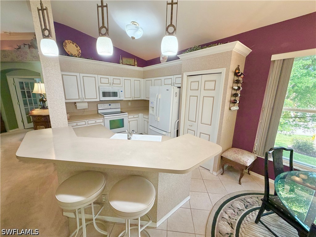 23087 Lone Oak Drive Estero FL 33928 226014979 image5