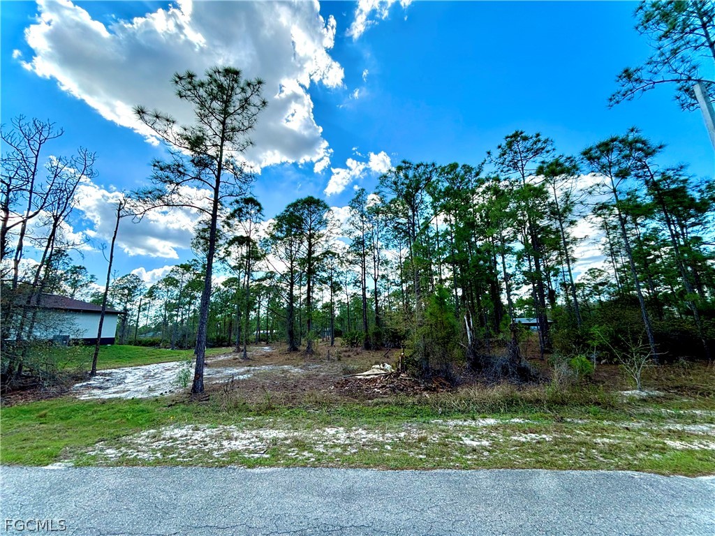 2309 Jackson Avenue Alva FL 33920 2026012428 image1