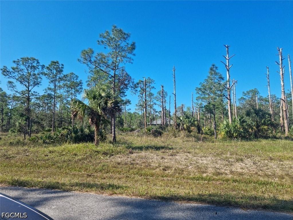 2309 Wellington Avenue Alva FL 33920 2026018233 image1