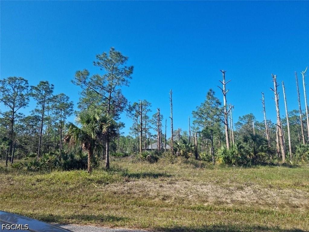 2309 Wellington Avenue Alva FL 33920 2026018233 image2