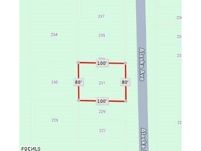 231 Alaska Drive Hawthorne FL 32640 2026014350 image7