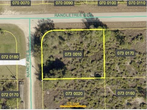 231 Nancy Avenue S Lehigh Acres FL 33974 2026010357 image1