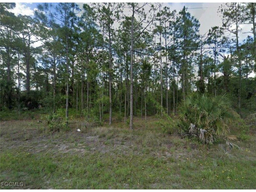 231 Thornton Avenue S Lehigh Acres FL 33974 2025012933 image1