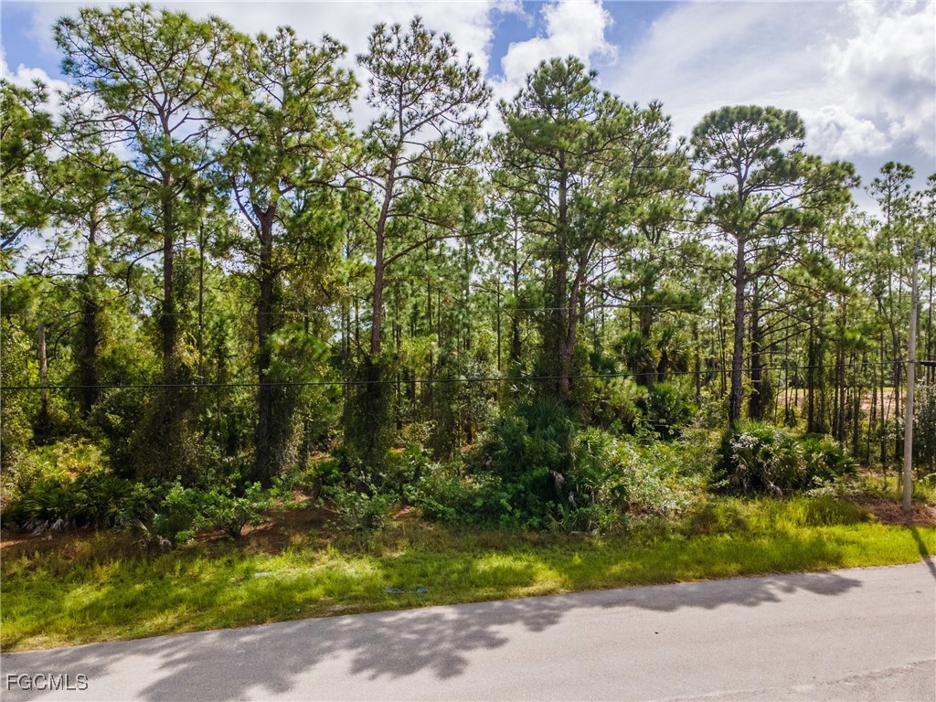 231 Thornton Avenue S Lehigh Acres FL 33974 2025012933 image18