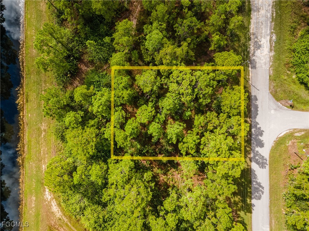 231 Thornton Avenue S Lehigh Acres FL 33974 2025012933 image4