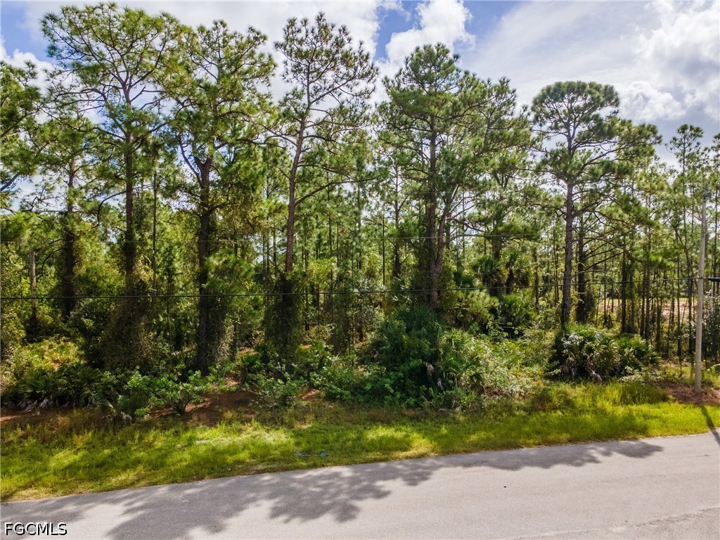 231 Thornton Avenue S Lehigh Acres FL 33974 2026026136 image18
