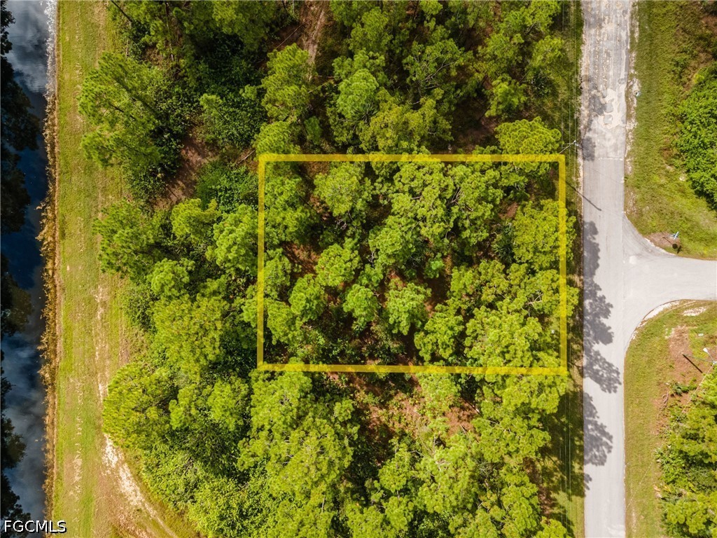231 Thornton Avenue S Lehigh Acres FL 33974 2026026136 image4