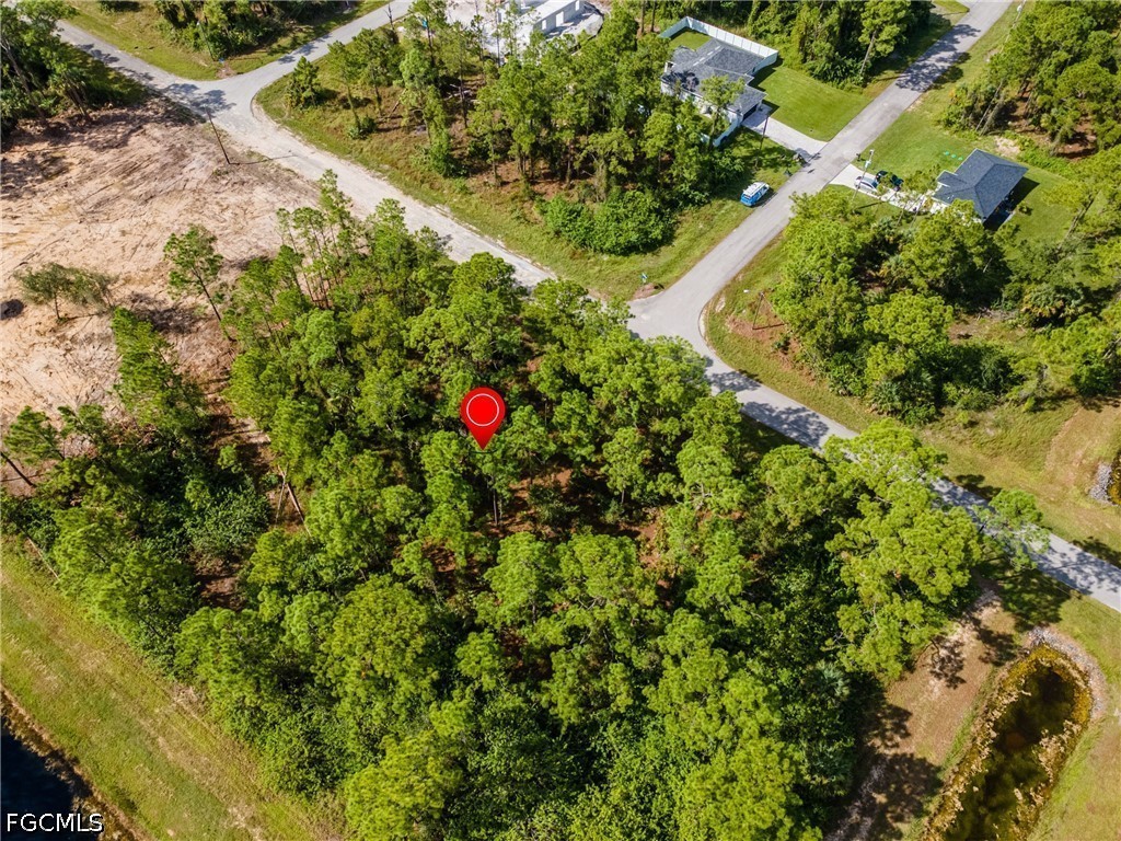231 Thornton Avenue S Lehigh Acres FL 33974 2026026136 image8