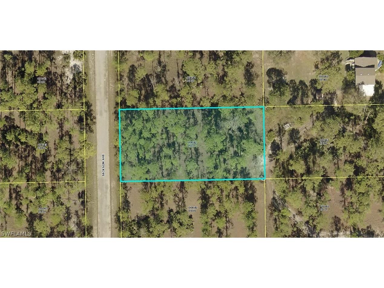 2310 Jackson Avenue Alva FL 33920 222034543 image1