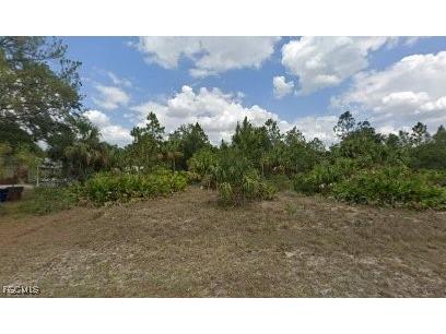 2310 Louis Avenue Alva FL 33920 2025008595 image1