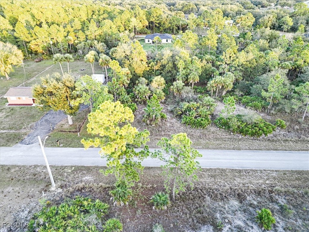 2310 Louis Avenue Alva FL 33920 2025008595 image11