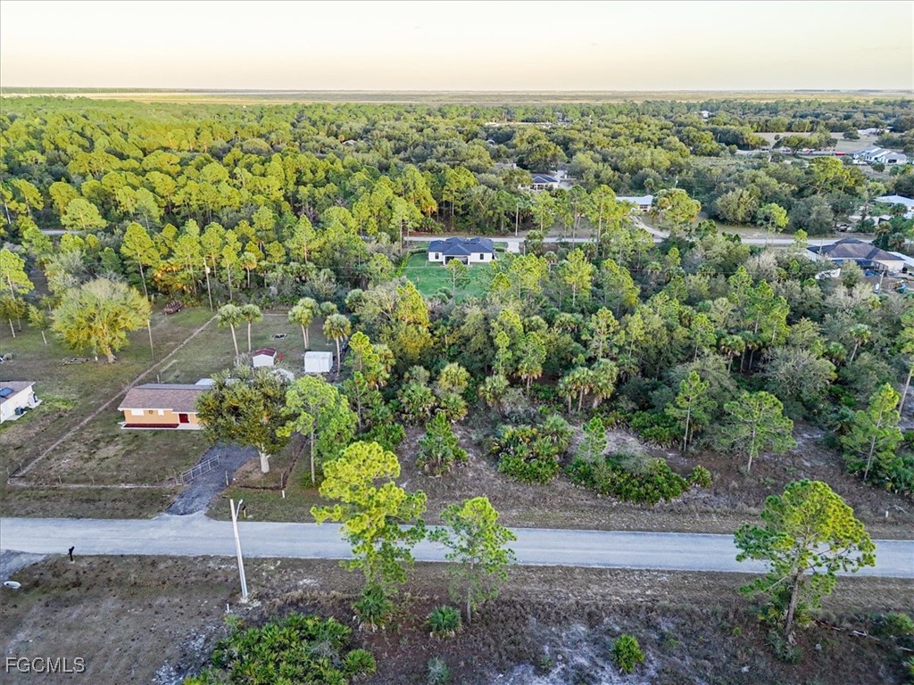 2310 Louis Avenue Alva FL 33920 2025008595 image13