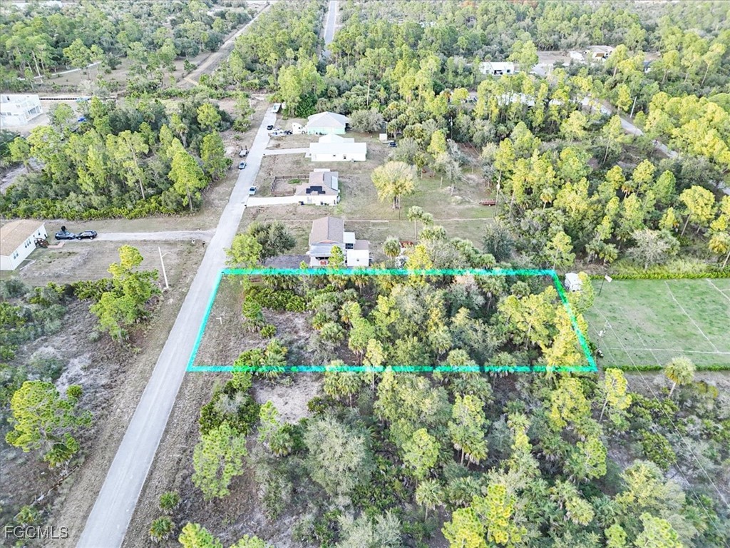 2310 Louis Avenue Alva FL 33920 2025008595 image3