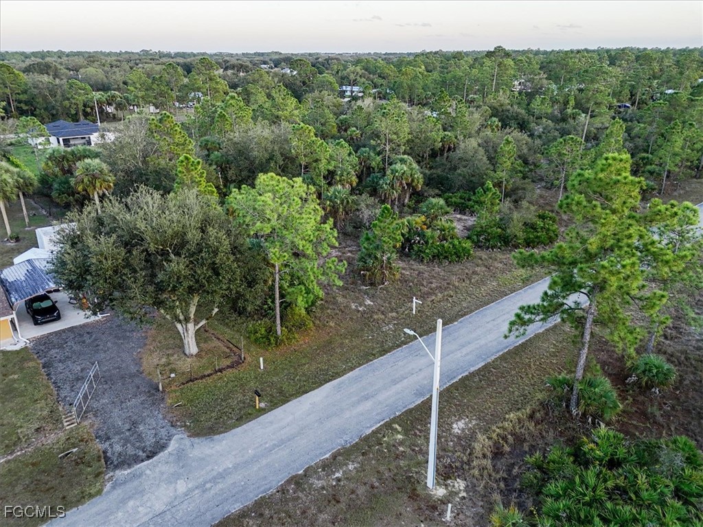 2310 Louis Avenue Alva FL 33920 2025008595 image30