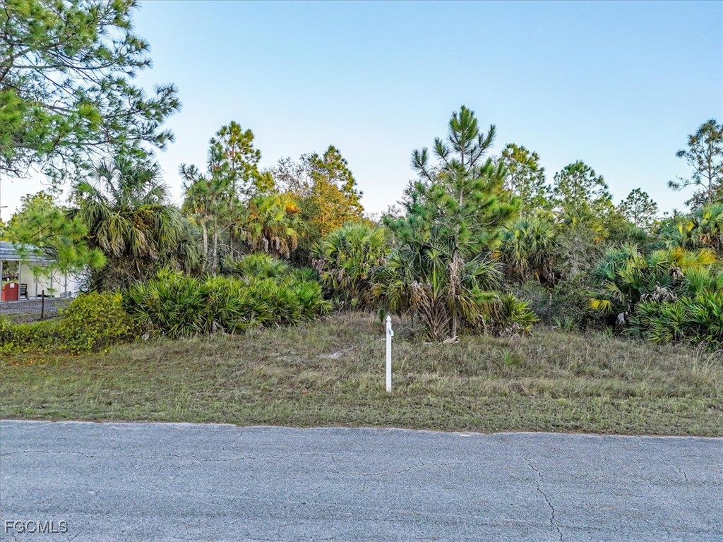 2310 Louis Avenue Alva FL 33920 2025008595 image9