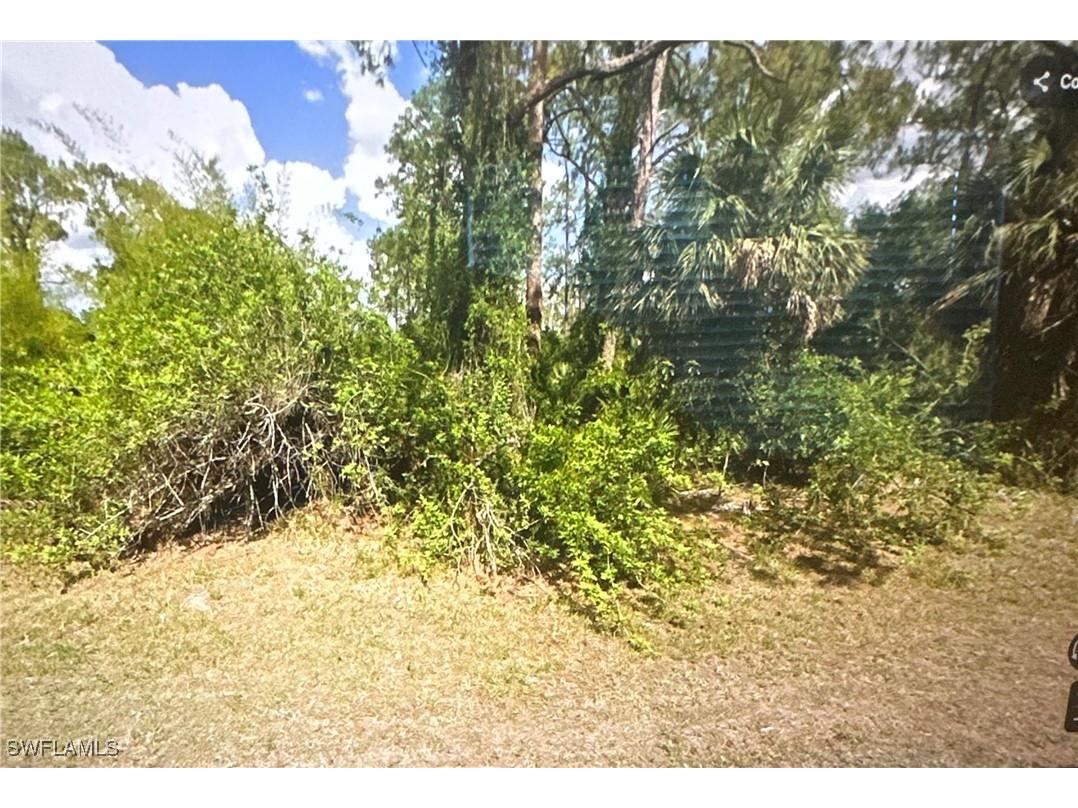 2310 Monroe Avenue Alva FL 33920 226005109 image1