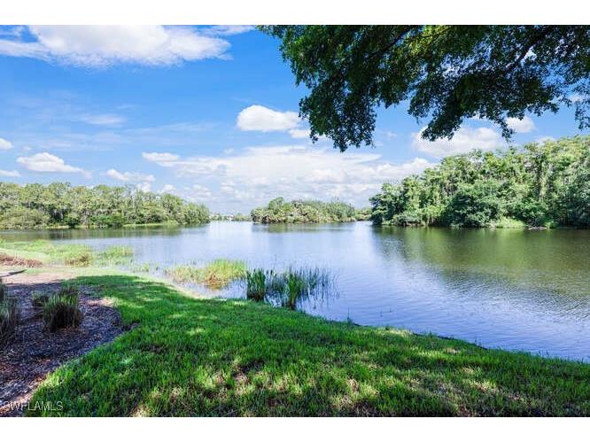 23110 Oakglen Lane Estero FL 34135 225061456 image37