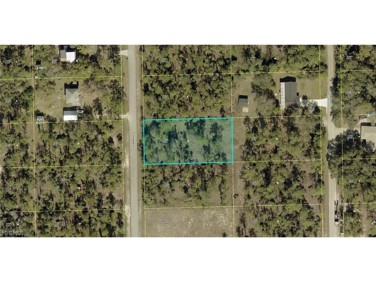 2312 Truman Avenue Alva FL 33920 2026007874 image1