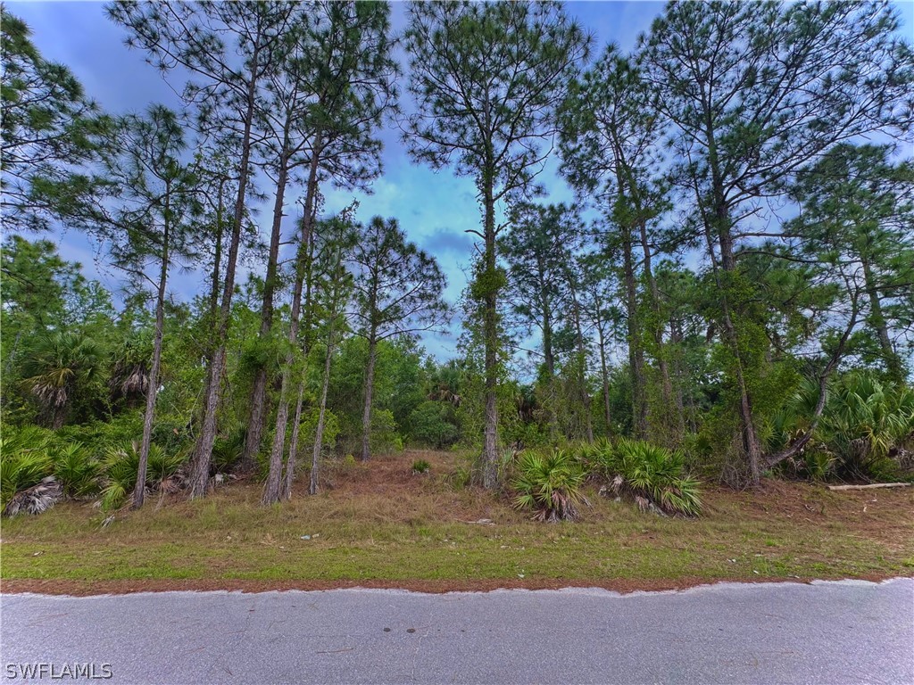 2312 Wells Avenue Alva FL 33920 224026109 image1