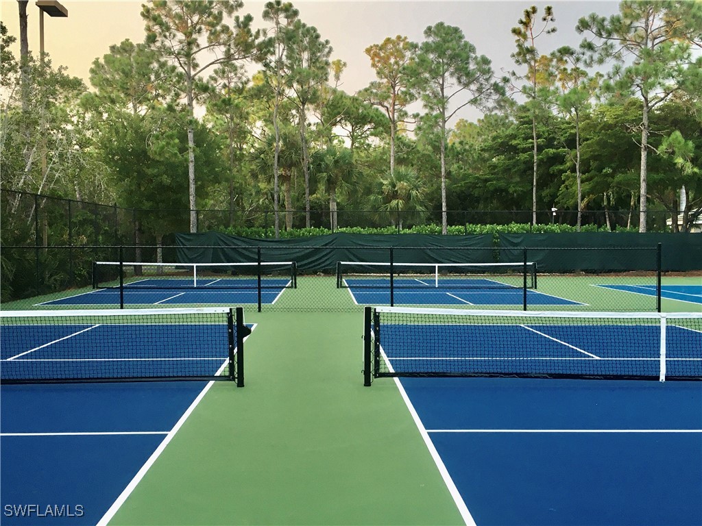 23129 Grassy Pine Drive Estero FL 33928 224091379 image33