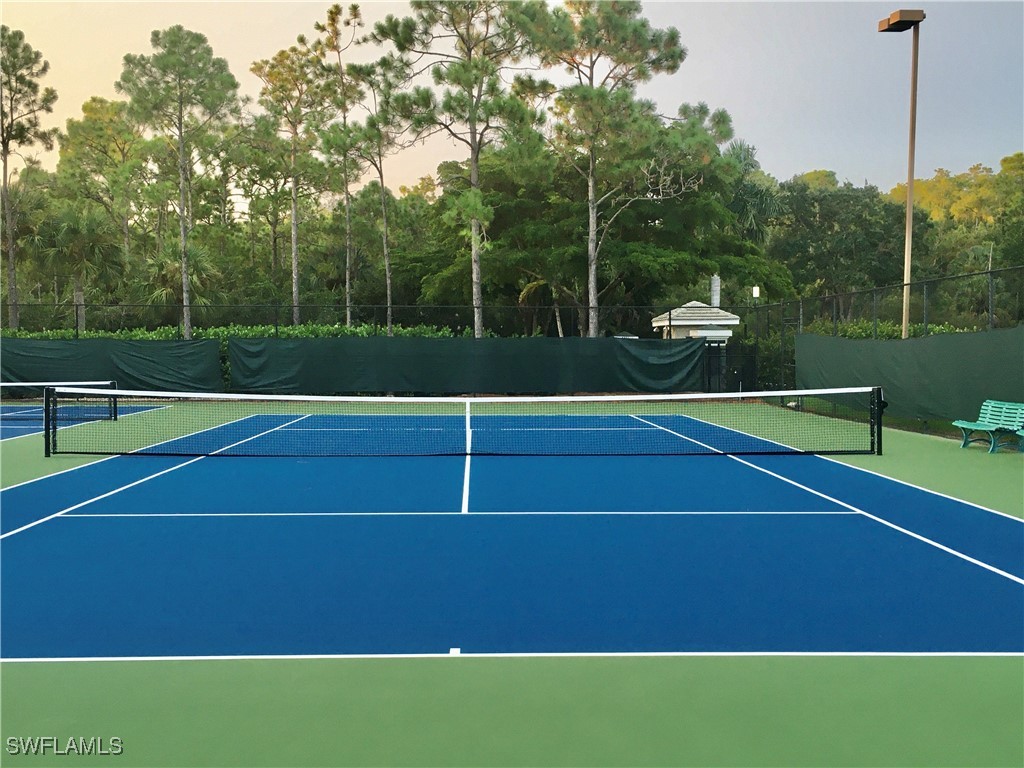 23129 Grassy Pine Drive Estero FL 33928 224091379 image36