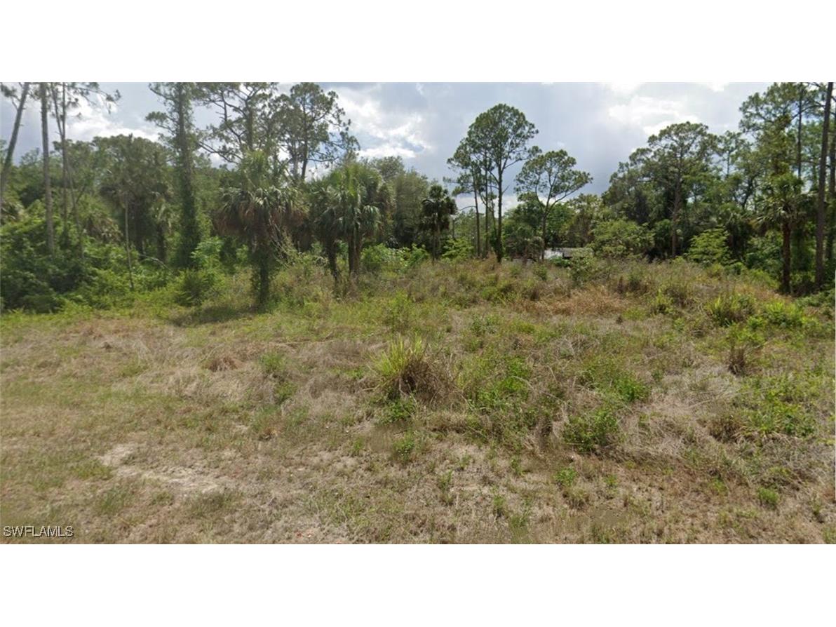 2315 Monroe Avenue Alva FL 33920 224067924 image1