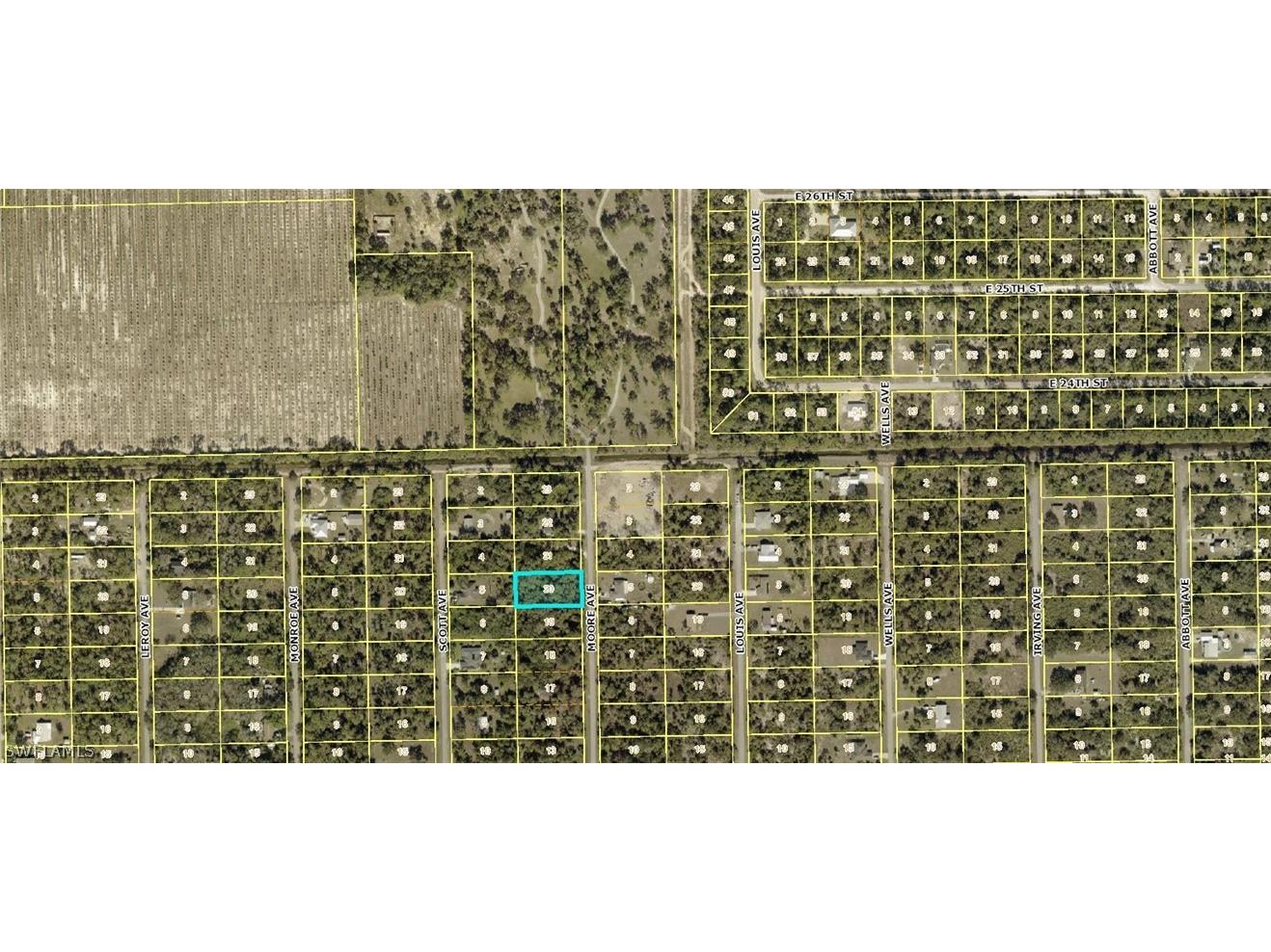 2315 Moore Avenue Alva FL 33920 226006527 image3