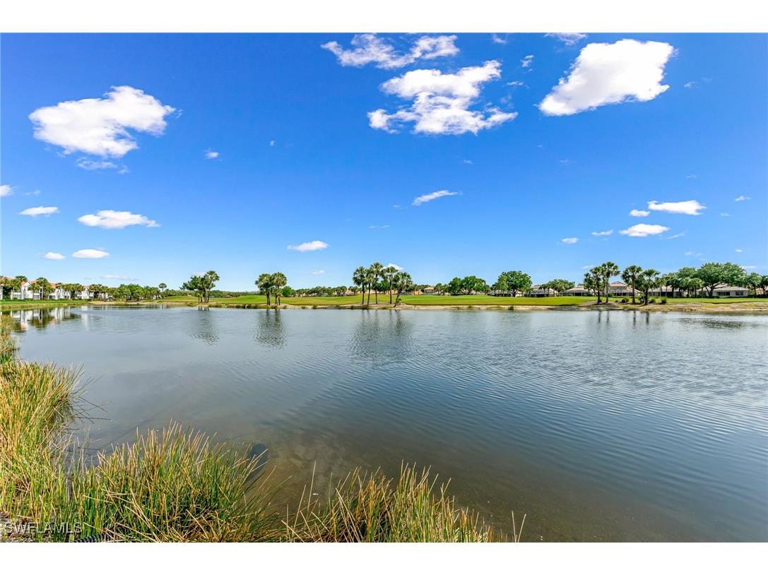 23151 Rosedale Drive #101 Estero FL 34135 225031102 image29