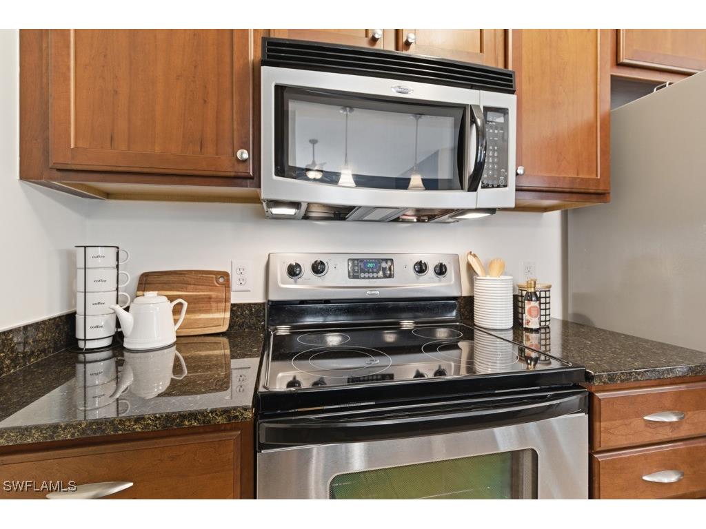 23159 Amgci Way #3205 Estero FL 33928 225082472 image10