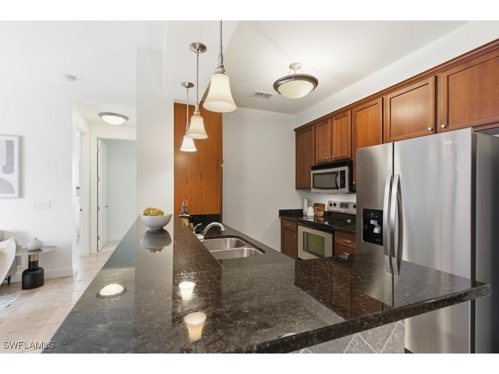 23159 Amgci Way #3205 Estero FL 33928 225082472 image9