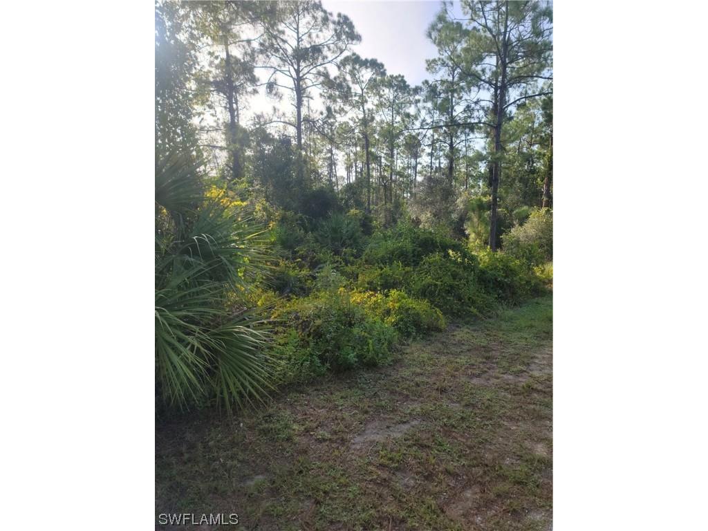 2317 Johns Avenue Alva FL 33920 223061295 image1