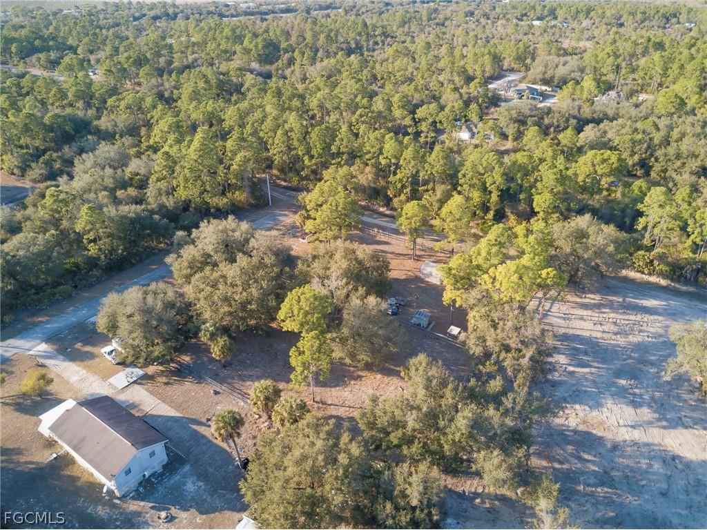 2318 Abbott Avenue Alva FL 33920 2026007989 image6