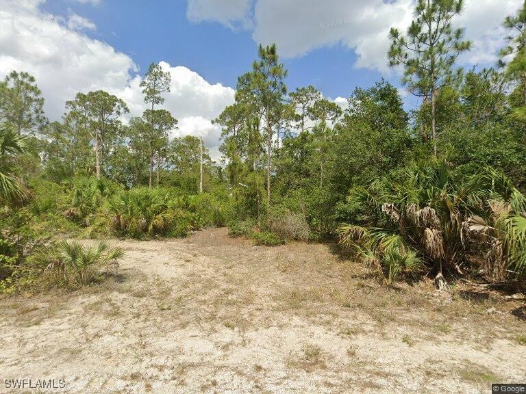 2318 Johns Avenue Alva FL 33920 224091064 image1
