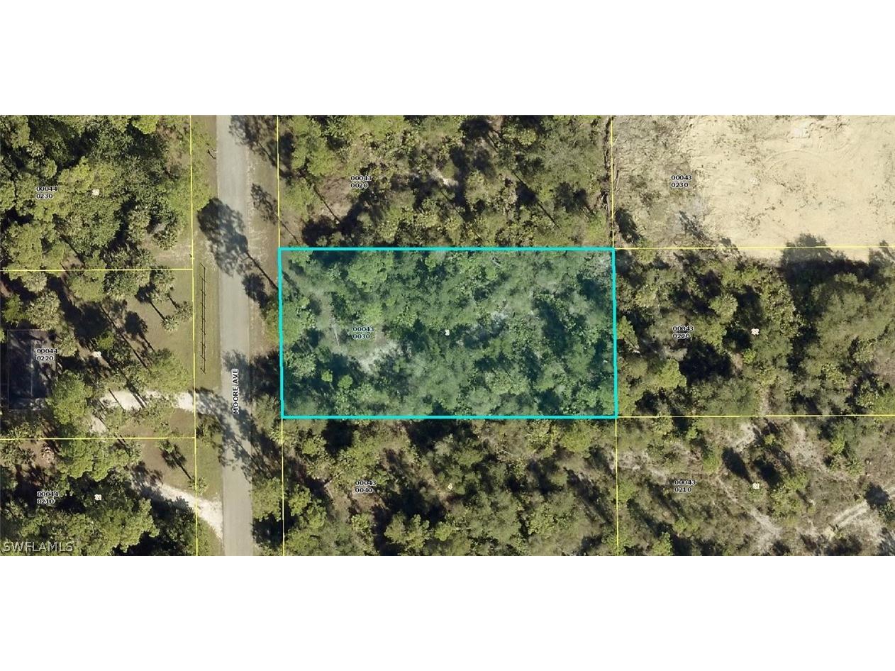 2318 Moore Avenue Alva FL 33920 222077754 image1