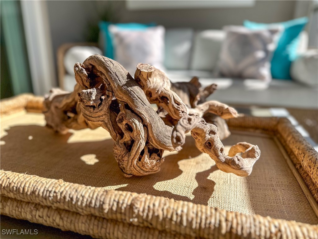 232 Indies Drive E #201 Naples FL 34114 225068059 image27