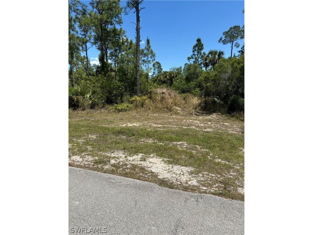 2320 Moore Avenue Alva FL 33920 224036658 image1