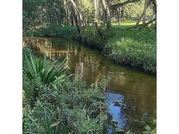 23261 Tuckahoe Road Alva FL 33920 225083062 image11