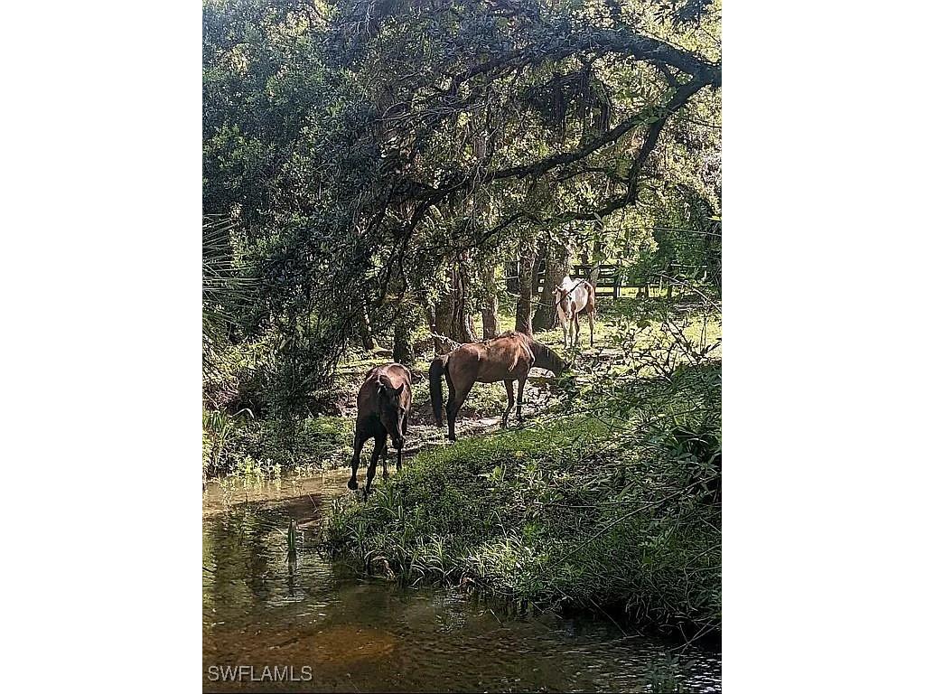 23261 Tuckahoe Road Alva FL 33920 225083062 image12