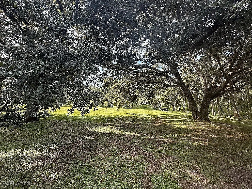 23261 Tuckahoe Road Alva FL 33920 225083062 image13