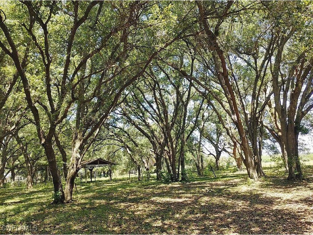 23261 Tuckahoe Road Alva FL 33920 225083062 image14