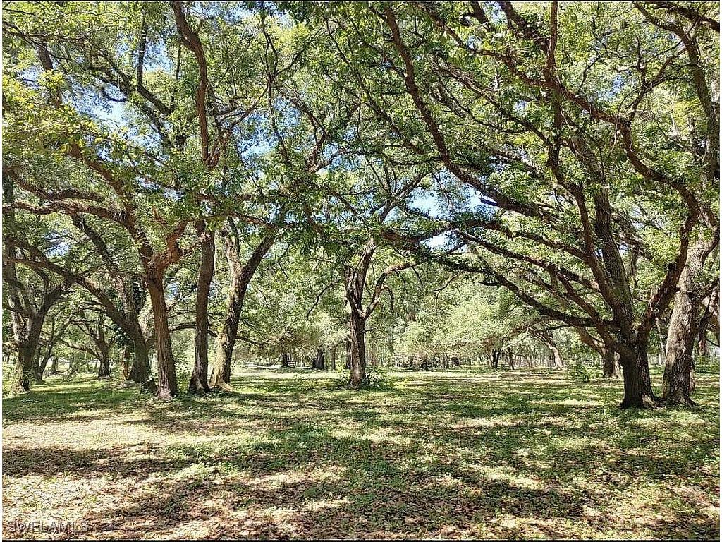 23261 Tuckahoe Road Alva FL 33920 225083062 image16